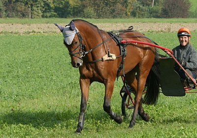 Rebus Training 29 sept14 DSC06441