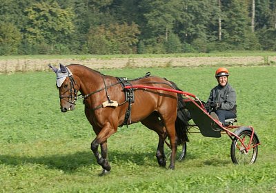 Rebus Training 29 sept14 DSC06443