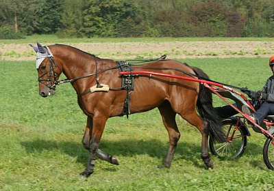 Rebus Training 29 sept14 DSC06444