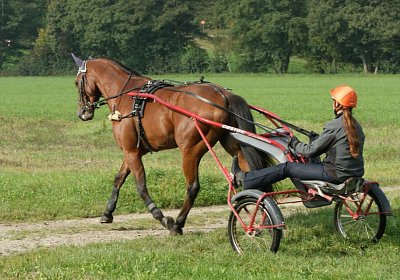 Rebus Training 29 sept14 DSC06448