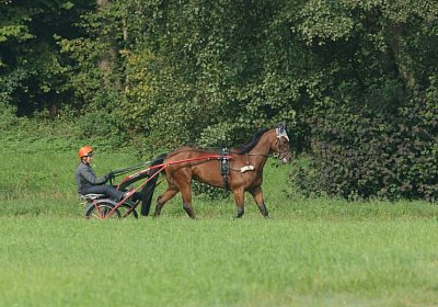 Rebus Training 29 sept14 DSC06451