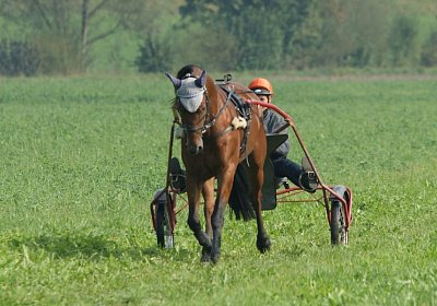Rebus Training 29 sept14 DSC06457