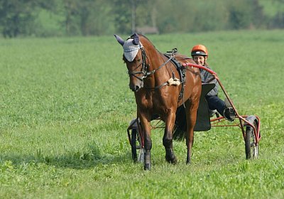 Rebus Training 29 sept14 DSC06460