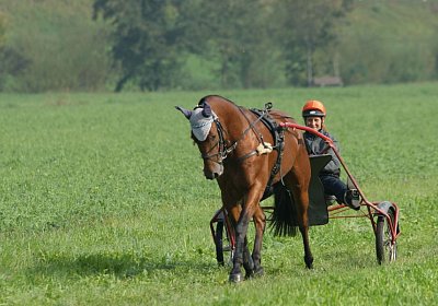 Rebus Training 29 sept14 DSC06461