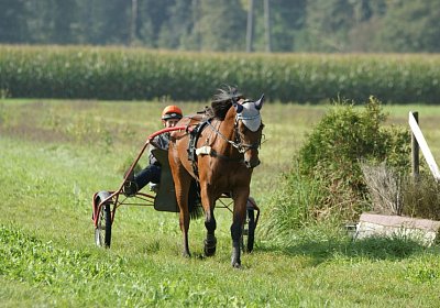 Rebus Training 29 sept14 DSC06475