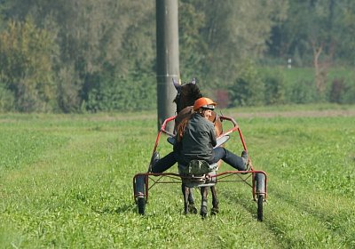 Rebus Training 29 sept14 DSC06480