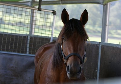 Rebus Training 29 sept14 DSC06522