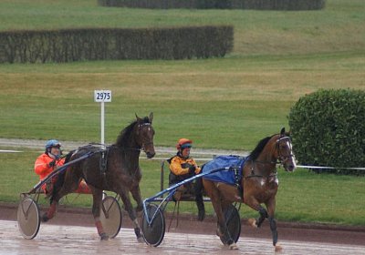 Av Belgino Noci 22maerz14 DSC03433