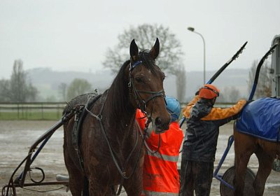 Av Belgino Noci 22maerz14 DSC03498