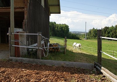 Gone Besuch Juni 2014 DSC09262