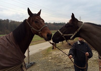 Quito Prince2 (Kopie)
