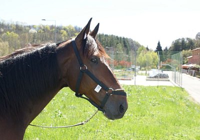 Playboy April2014 DSC04060