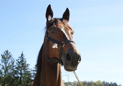 Playboy April2014 DSC04084