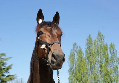 Playboy April2014 DSC04088