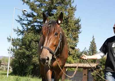 Playboy April2014 DSC04100