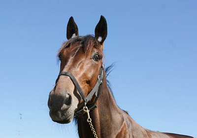 Playboy April2014 DSC04104