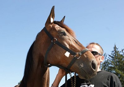 Playboy April2014 DSC04118