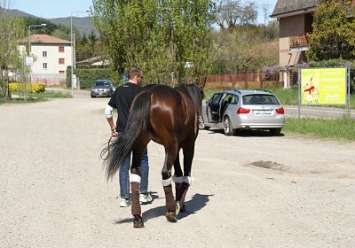 Playboy April2014 DSC04119