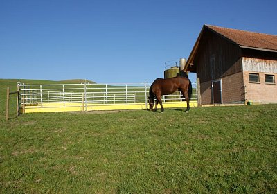 Prince 16Maerz 2014 DSC03268