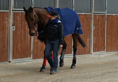 Prince Training 2Mai2014 DSC05544