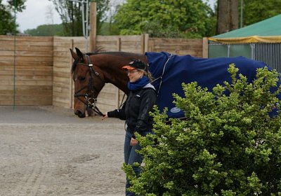 Prince Training 2Mai2014 DSC05547