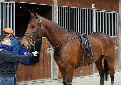 Prince Training 2Mai2014 DSC05555