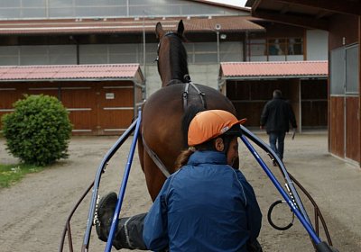 Prince Training 2Mai2014 DSC05567