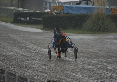 DSC01377 (Kopie)