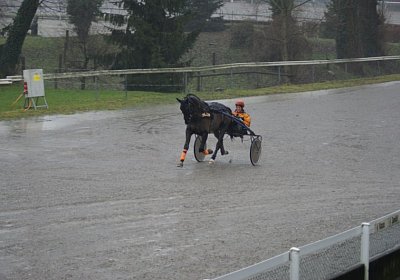 DSC01402 (Kopie)
