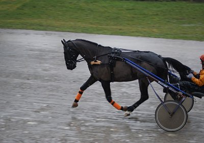 DSC01406 (Kopie)