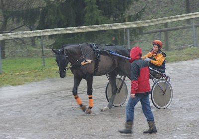 DSC01413 (Kopie)