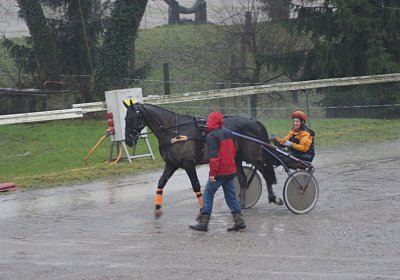 DSC01414 (Kopie)