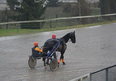 DSC01418 (Kopie)