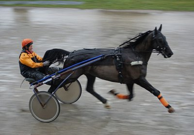 DSC01431 (Kopie)
