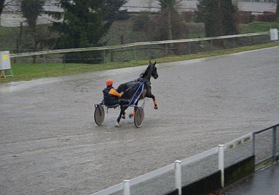 DSC01433 (Kopie)
