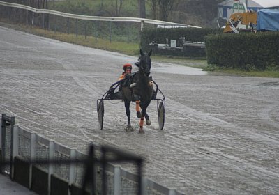 DSC01439 (Kopie)