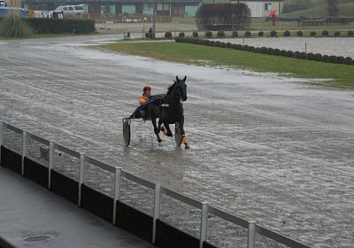 DSC01441 (Kopie)