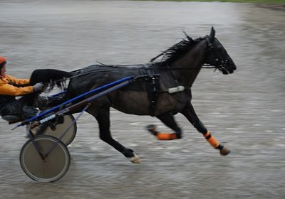 DSC01445 (Kopie)