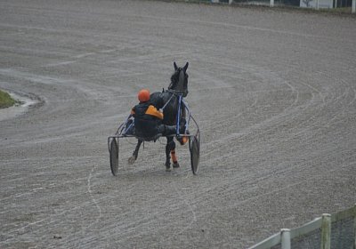DSC01459 (Kopie)