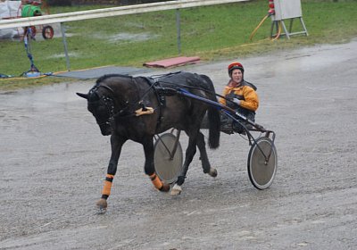 DSC01470 (Kopie)