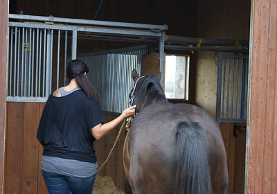 Quito zuegelt sept 2014 DSC04611