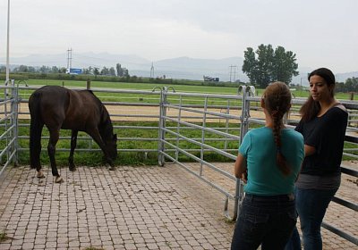 Quito zuegelt sept 2014 DSC04630
