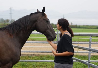 Quito zuegelt sept 2014 DSC04661