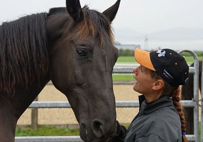 Quito zuegelt sept 2014 DSC04663