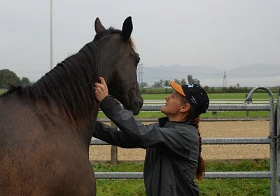 Quito zuegelt sept 2014 DSC04665