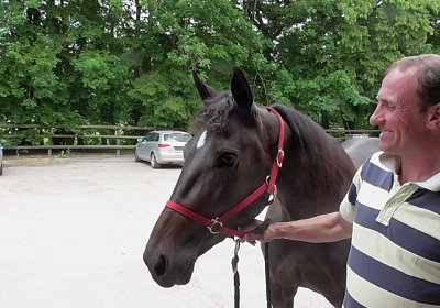Timoa zz Avenches S1070014