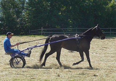 TIMOA Training 7juni2014 Ag S1080009