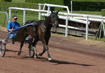 TIMOA Training 7juni2014 DSC08726