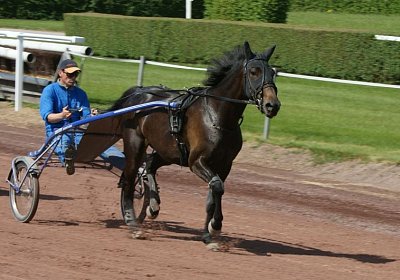 TIMOA Training 7juni2014 DSC08727