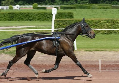 TIMOA Training 7juni2014 DSC08730